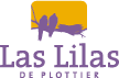 Lanzamiento de Las Lilas de Plottier